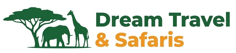 Dream Travel & Safaris Logo