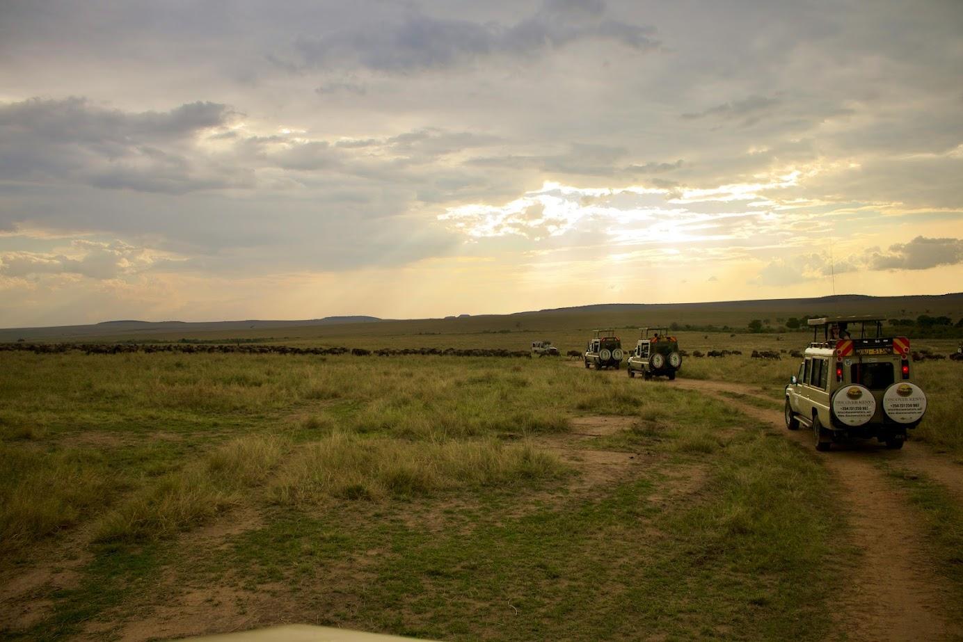 Maasai Mara